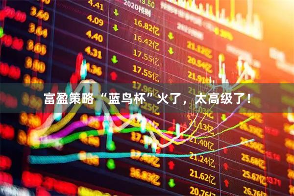 富盈策略 “蓝鸟杯”火了，太高级了！