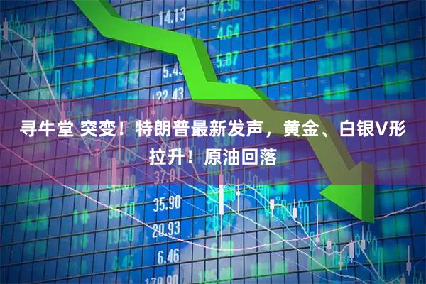 寻牛堂 突变！特朗普最新发声，黄金、白银V形拉升！原油回落