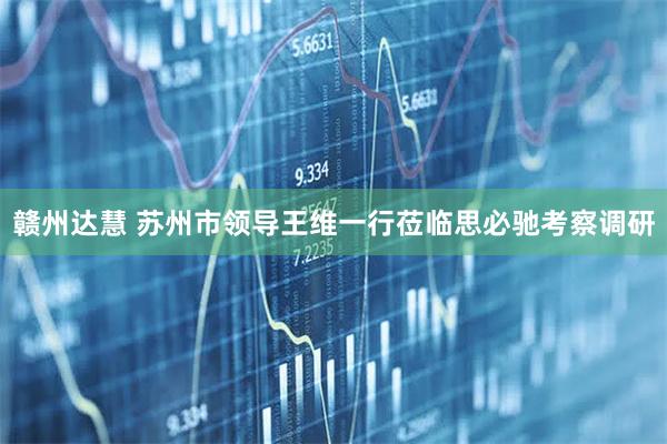 赣州达慧 苏州市领导王维一行莅临思必驰考察调研