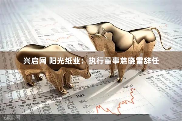 兴启网 阳光纸业：执行董事慈晓雷辞任