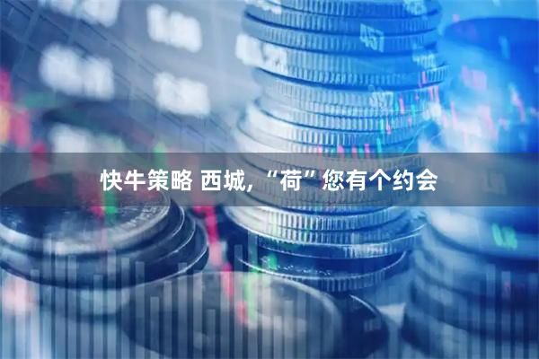 快牛策略 西城, “荷”您有个约会
