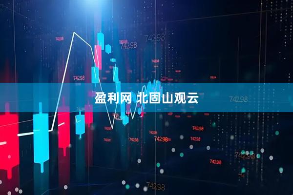盈利网 北固山观云