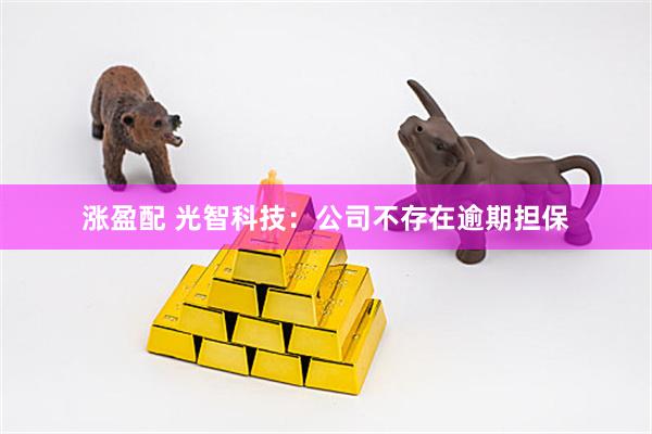 涨盈配 光智科技：公司不存在逾期担保