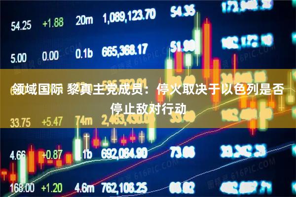 领域国际 黎真主党成员：停火取决于以色列是否停止敌对行动