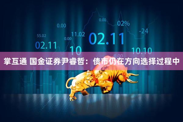 掌互通 国金证券尹睿哲：债市仍在方向选择过程中