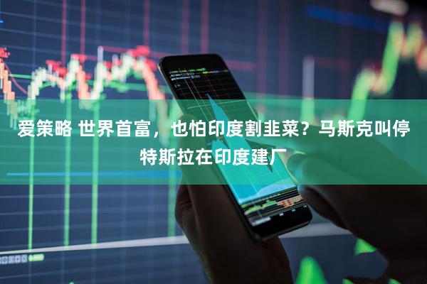 爱策略 世界首富，也怕印度割韭菜？马斯克叫停特斯拉在印度建厂