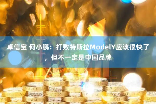 卓信宝 何小鹏：打败特斯拉ModelY应该很快了，但不一定是中国品牌