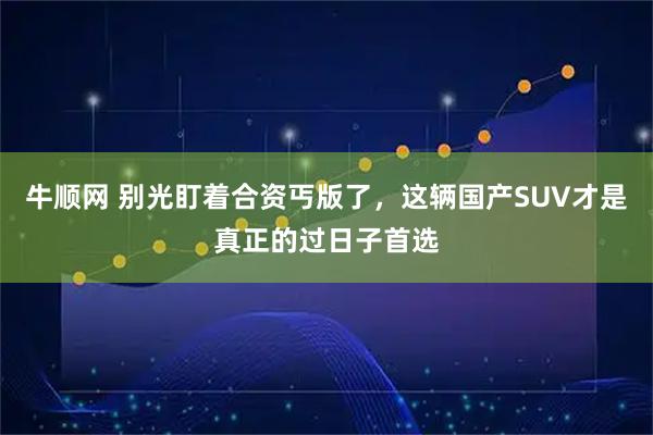 牛顺网 别光盯着合资丐版了，这辆国产SUV才是真正的过日子首选