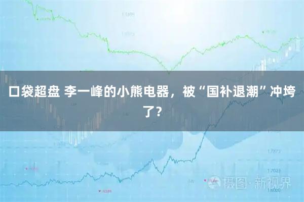 口袋超盘 李一峰的小熊电器，被“国补退潮”冲垮了？