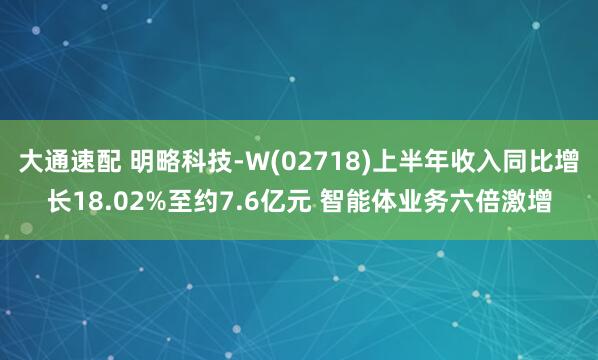 大通速配 明略科技-W(02718)上半年收入同比增长18.02%至约7.6亿元 智能体业务六倍激增